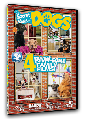 DVD – Tagged 